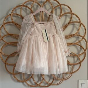 Habitual Blush Tulle Dress with Sheer Sleeves